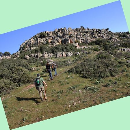 Апартаменти Complejo Turistico Rural Fuente Taray Malagon Екстер'єр фото